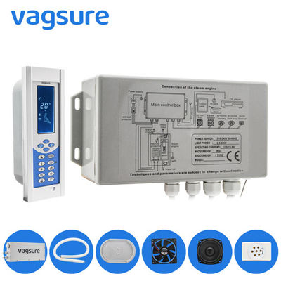 AC240V / 110V Buhar Banyosu Ekipmanları Duvar Tipi / Zemine Monte Edilmiş Stil CE Sertifikası Tedarikçi