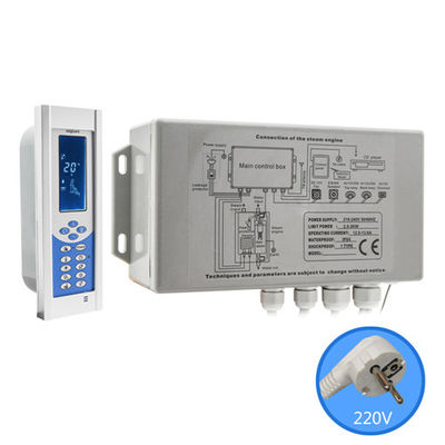AC240V / 110V Buhar Banyosu Ekipmanları Duvar Tipi / Zemine Monte Edilmiş Stil CE Sertifikası Tedarikçi